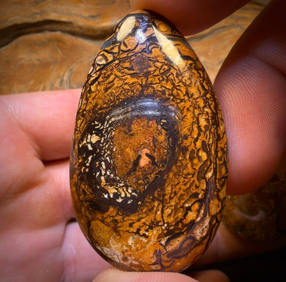 221.5cts - 3x Australian Tribal Boulder Opal’s. Wholesale Dealers Parcel $1/Ct Bargain