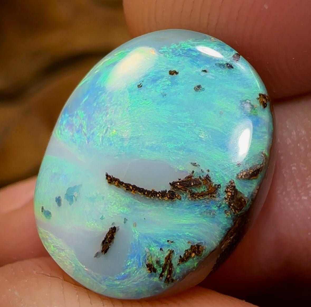 13.5cts - “The Green Planet” Queensland Boulder Opal Picture Stone from Winton - Opal Whisperers