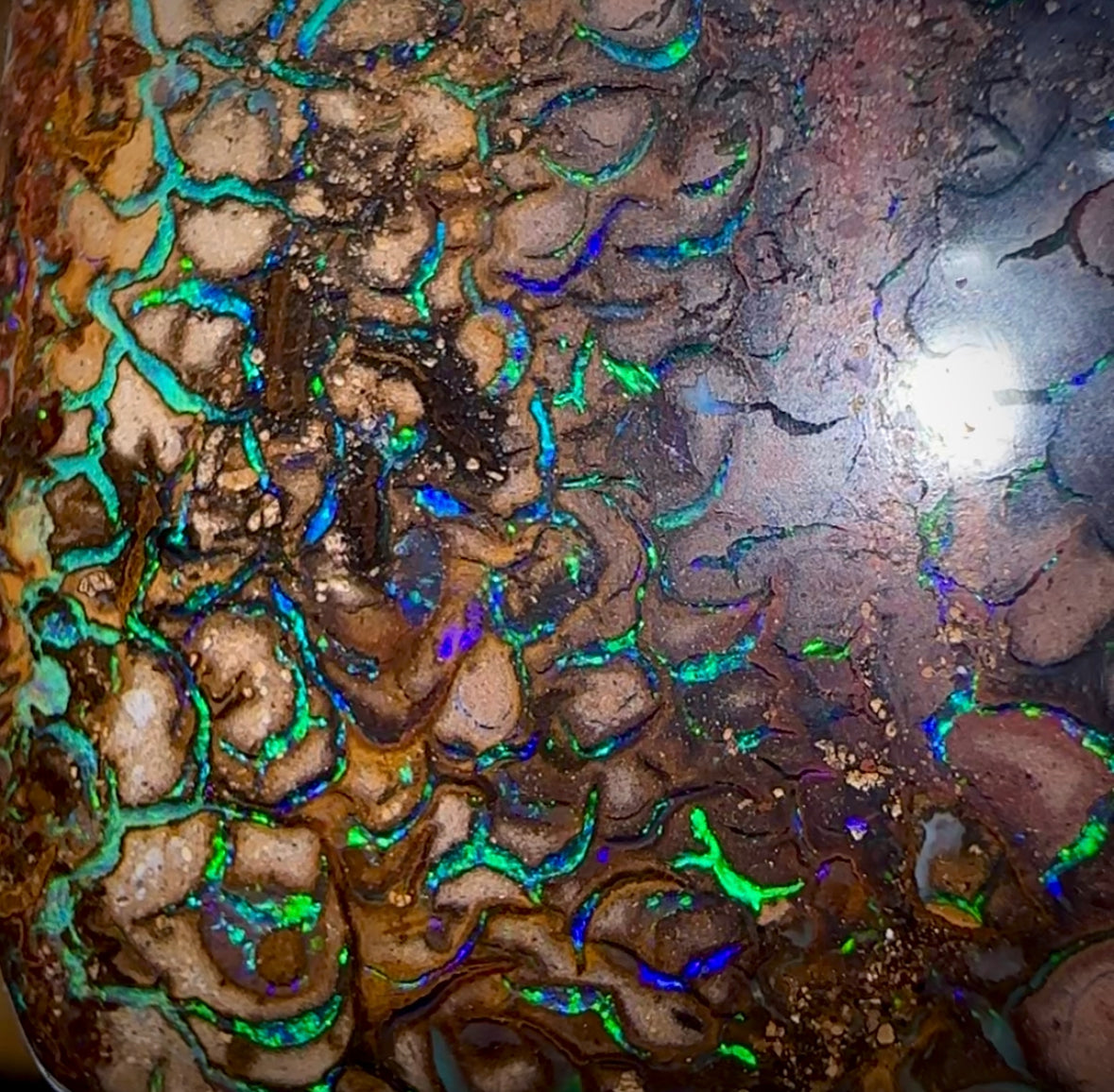 (Template) 121.6cts - Tribal Koroit Nut Opal. Australian Boulder Opal - Opal Whisperers