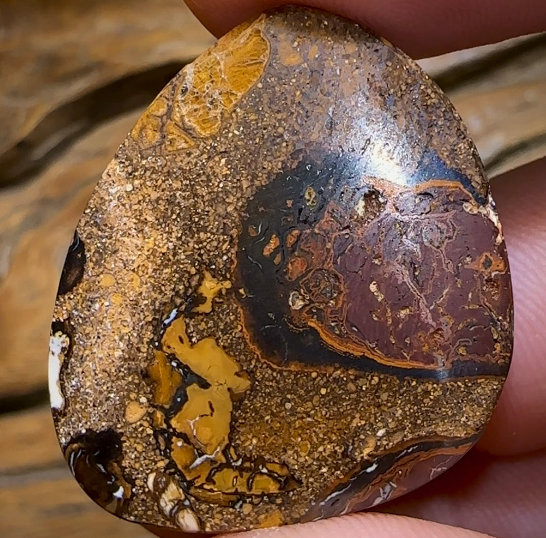 67.5cts - Yowah Nut Kernel Opal. Australian Opal - Opal Whisperers