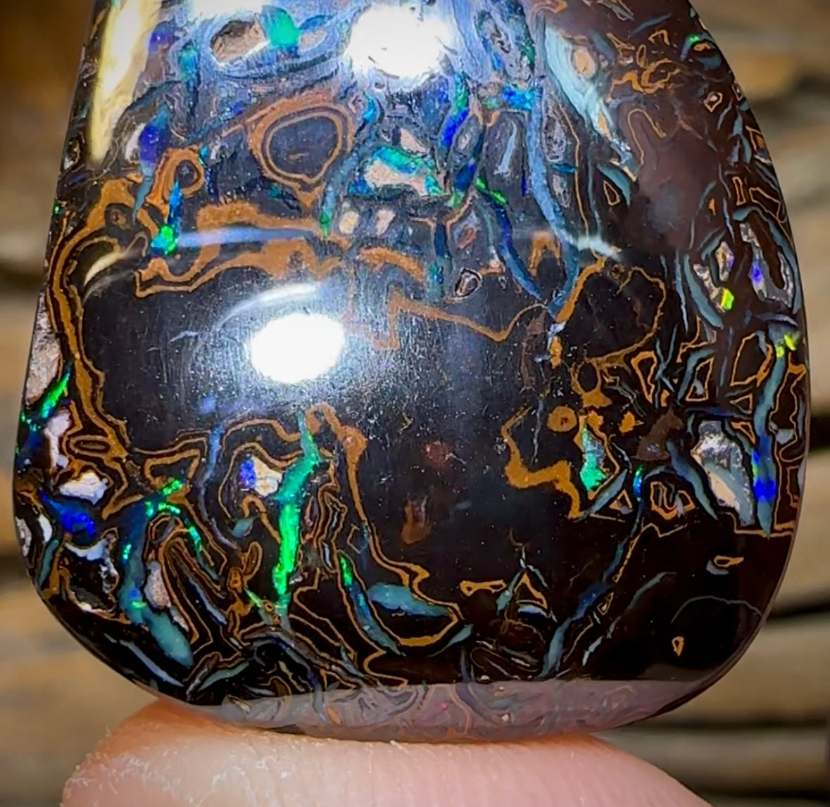 79.2cts - Top Tribal Koroit Black Nut Opal - Opal Whisperers