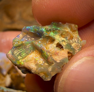 215cts - 25x Opalised Wood/Vegetation Fossil Rough Parcel from Yowah
