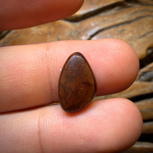 5.7cts - Queensland Boulder Seam Opal