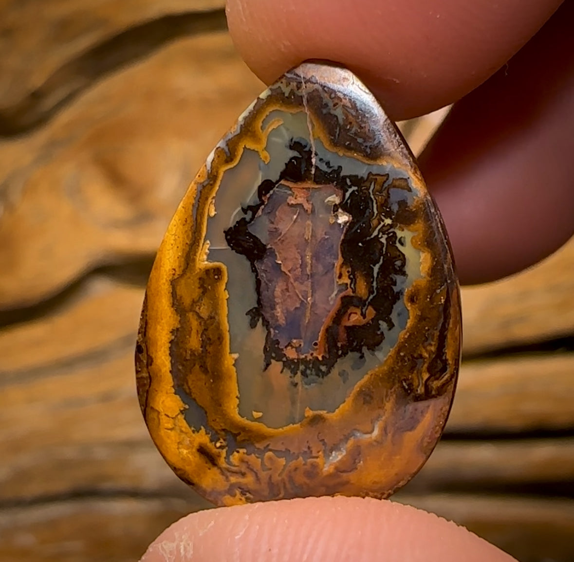 13.7cts - Yowah Nut Kernel Opal. Australian Boulder Opal