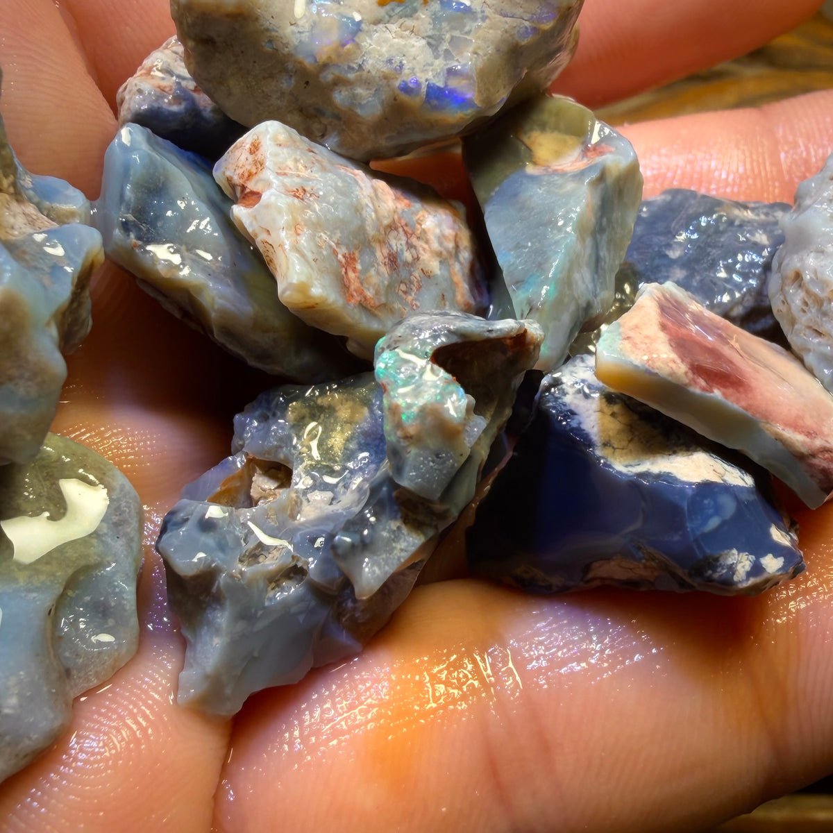 276,1 ct – 12x Lightning Ridge Opal-Rohpaket