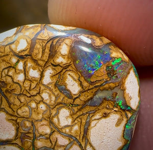 20.8cts - Yowah Nut Opal. White Porcelain Tribal Pattern