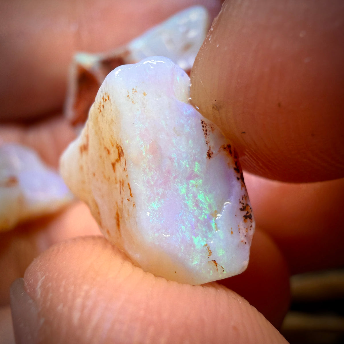 (5-15 $ de la livre) 71.3 cts - 7x Parcelle d'opale brute d'Australie du Sud