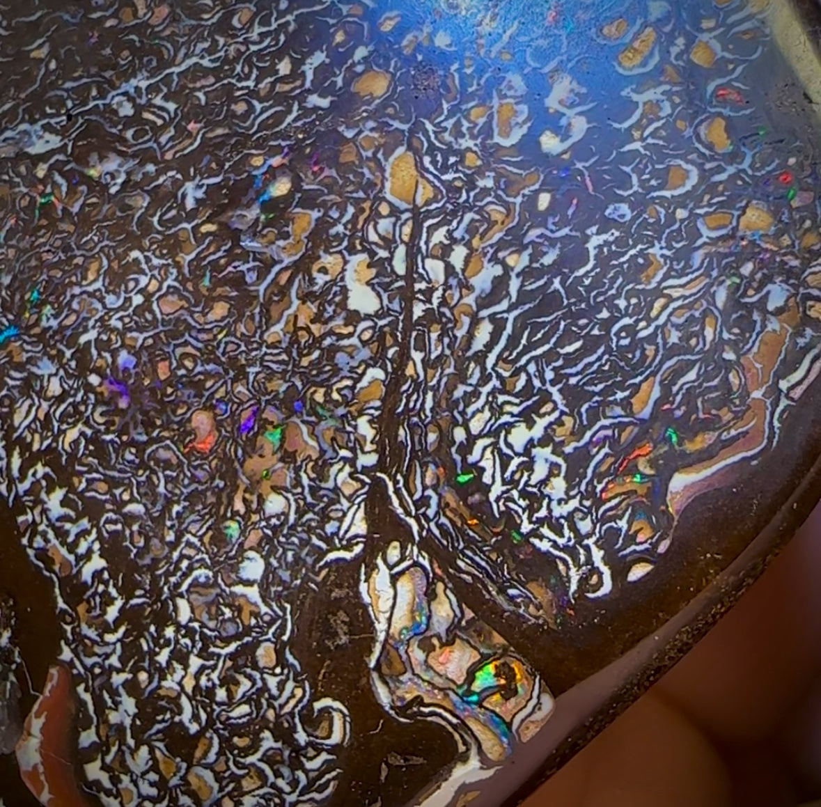 200.5cts - Intricate Tribal Queensland Boulder Opal. Polished Specimen