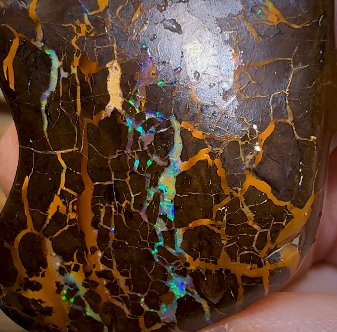 (Template) 226.6cts - Australian Boulder Opal Rub. Bubble Band - Opal Whisperers