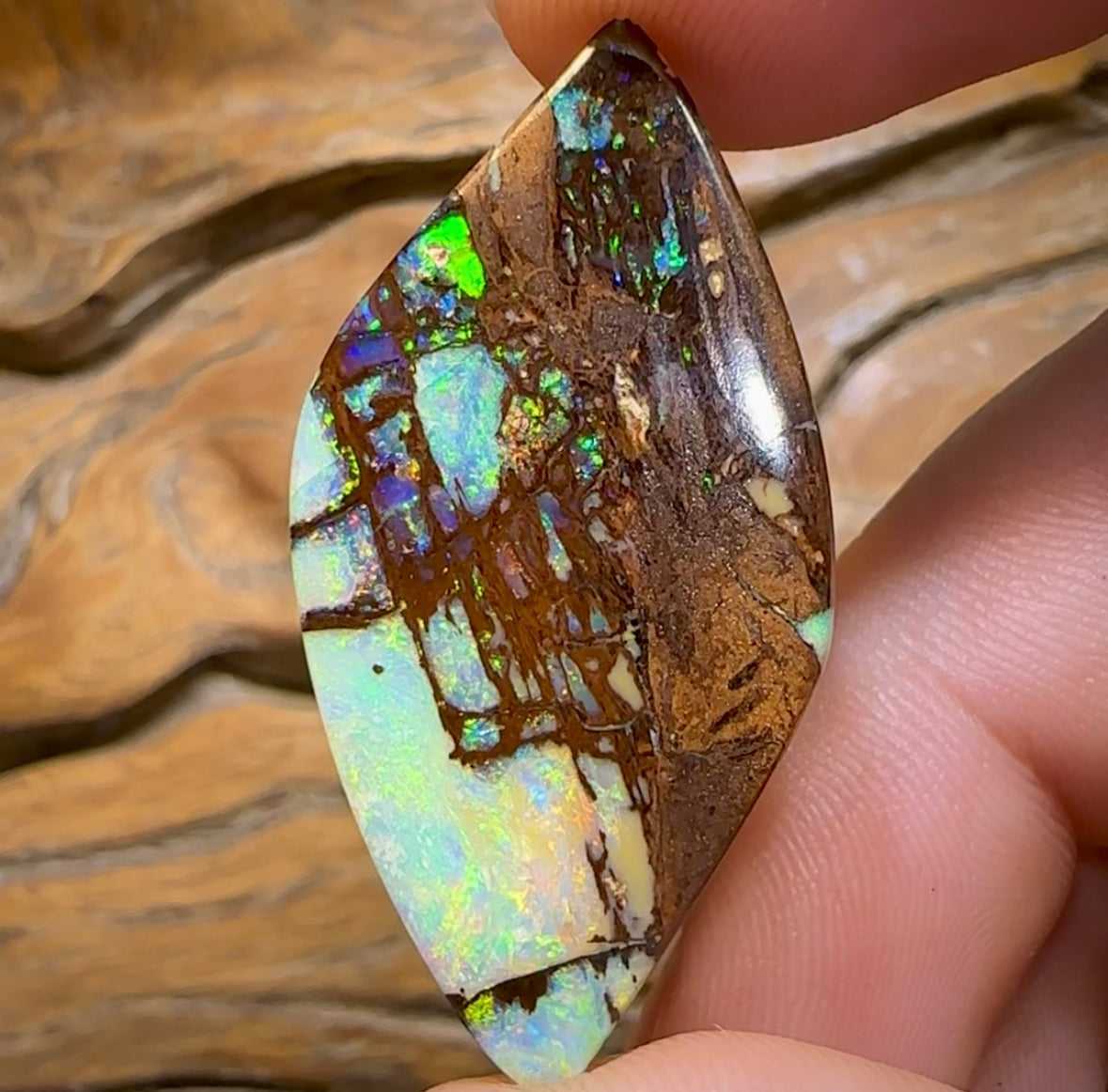 (Template) 24.1cts - Top Australian Boulder Wood Fossil Opal. Rare Cathedral Pattern - Opal Whisperers