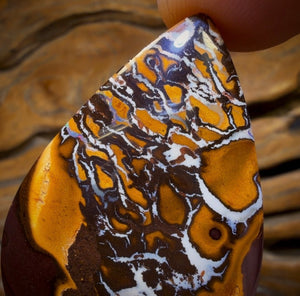 150.7cts - Tribal Queensland Boulder from Yowah