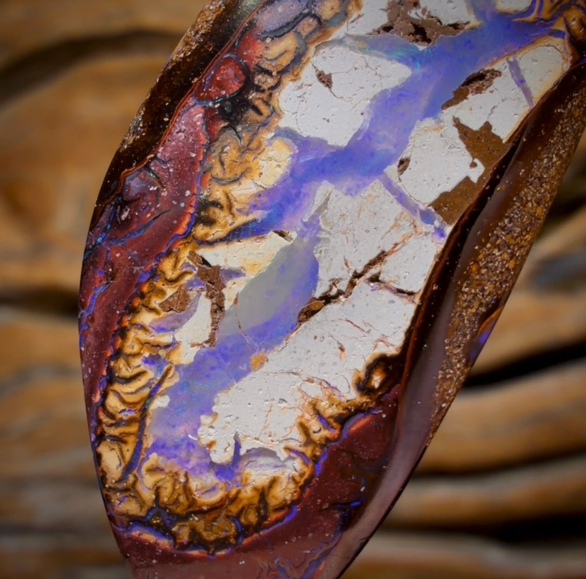 54.8cts - Yowah Nut Kernel Opal. Australian Boulder Opal