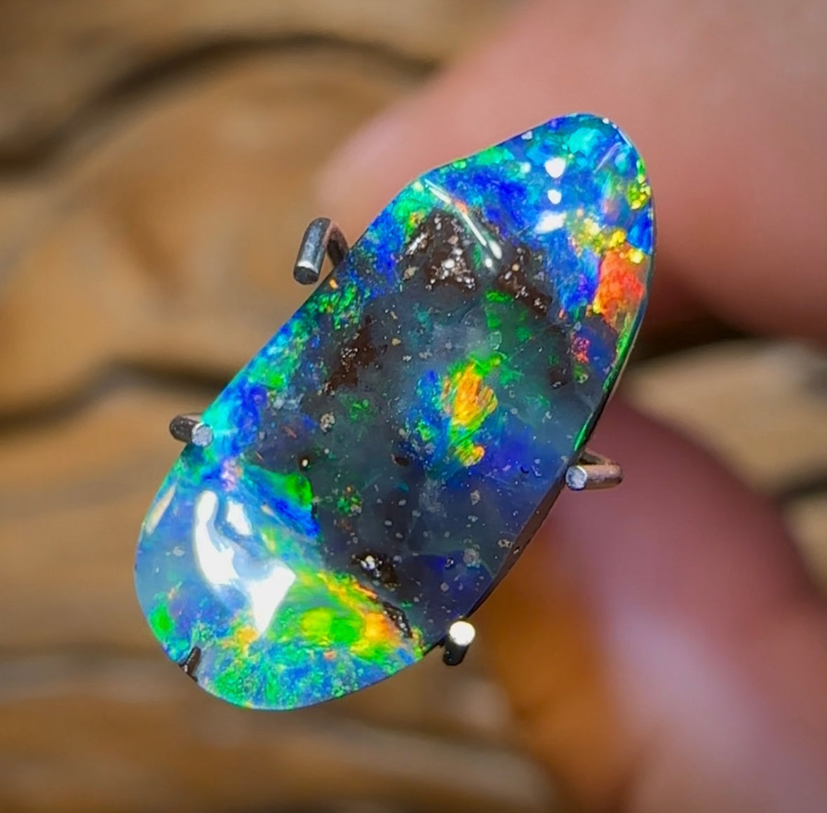 2.5cts - Queensland Boulder Opal from Winton - Opal Whisperers