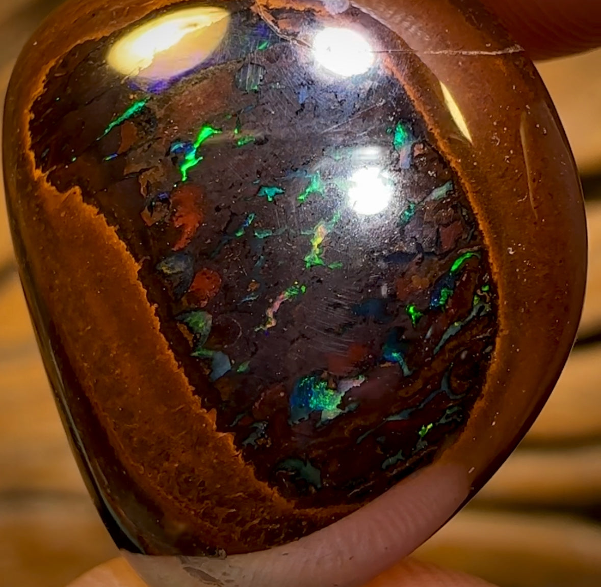 30.7cts - Yowah Nut Black Center Tribal Kernel Opal. Australian Boulder Opal