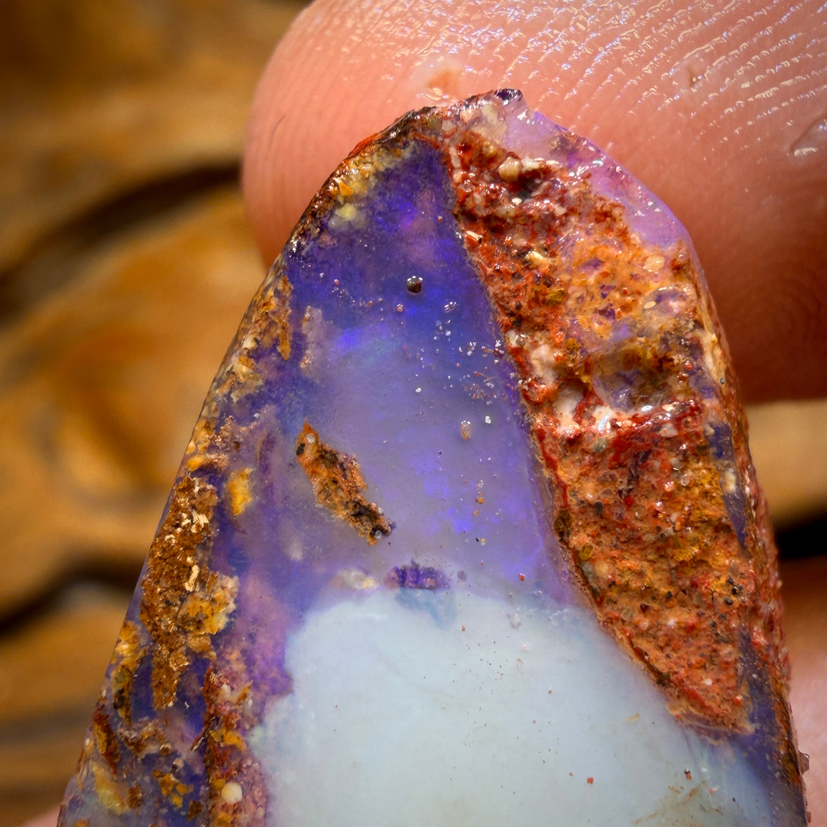 56.1cts - Boulder Pipe Opal Rough Piece. Australian Opal