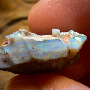 28.7cts - Lightning Ridge Dark Opal Rough Piece