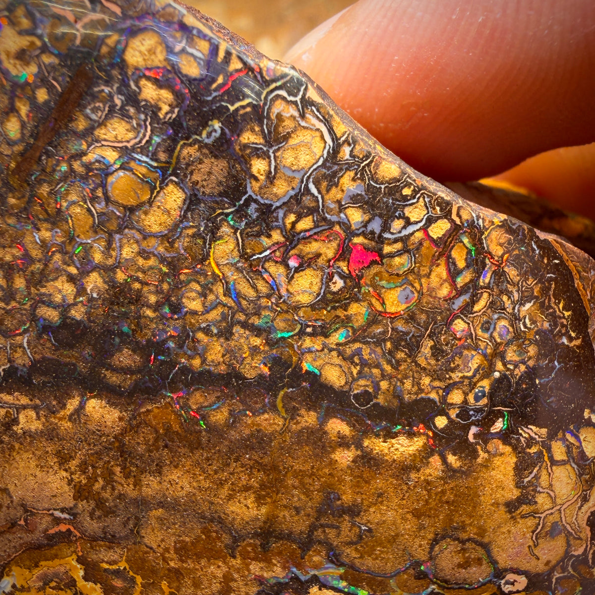 1033 carats - Grand spécimen poli d'opale boulder australienne tribale