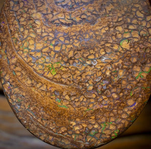 32 x 26mm - Drilled Tribal Queensland Boulder Opal Necklace