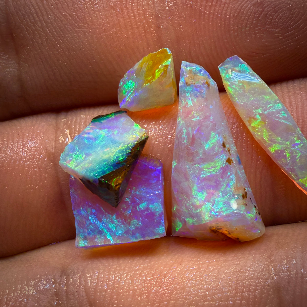 13.2cts - 6x Australian Yowah Wood Fossil Crystal Opal Rough Pieces. Highly Prized Material