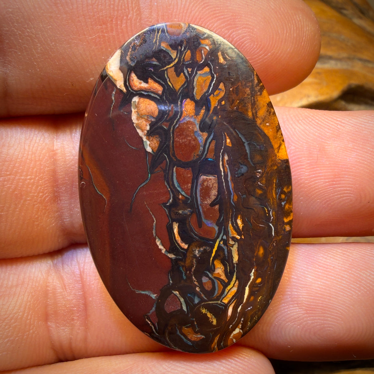 52.6cts - Top Tribal Queensland Boulder Opal from Yowah