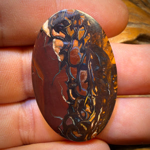 52.6cts - Top Tribal Queensland Boulder Opal from Yowah