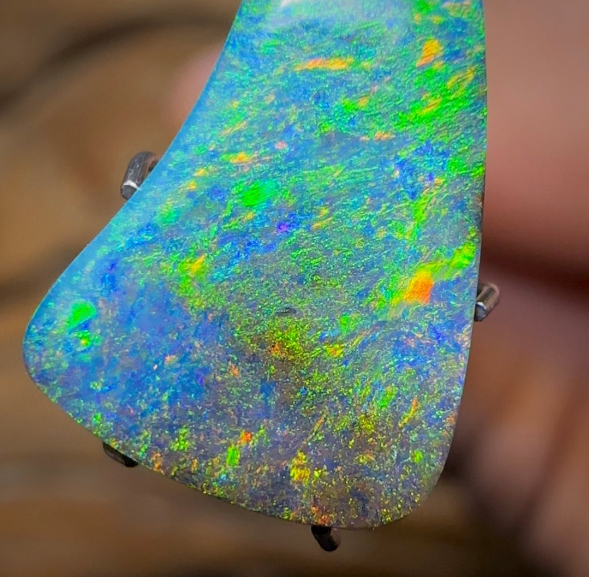 (Template) 4.5cts - Queensland Boulder Opal from Winton. Gem Quality - Opal Whisperers