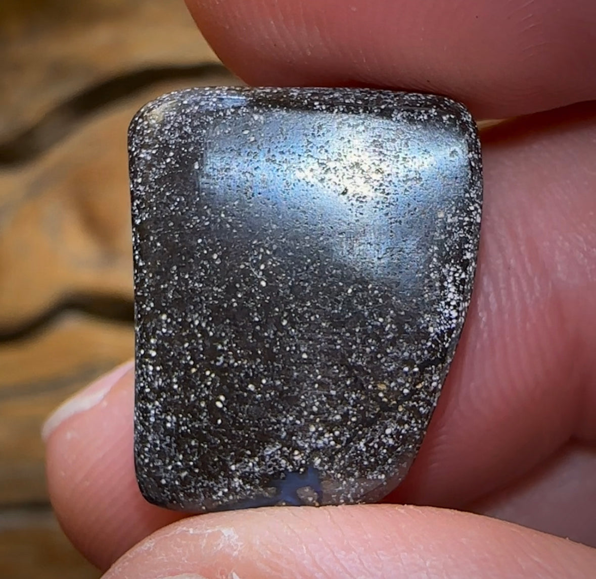 15.1cts - Queensland Boulder Seam Opal - Opal Whisperers