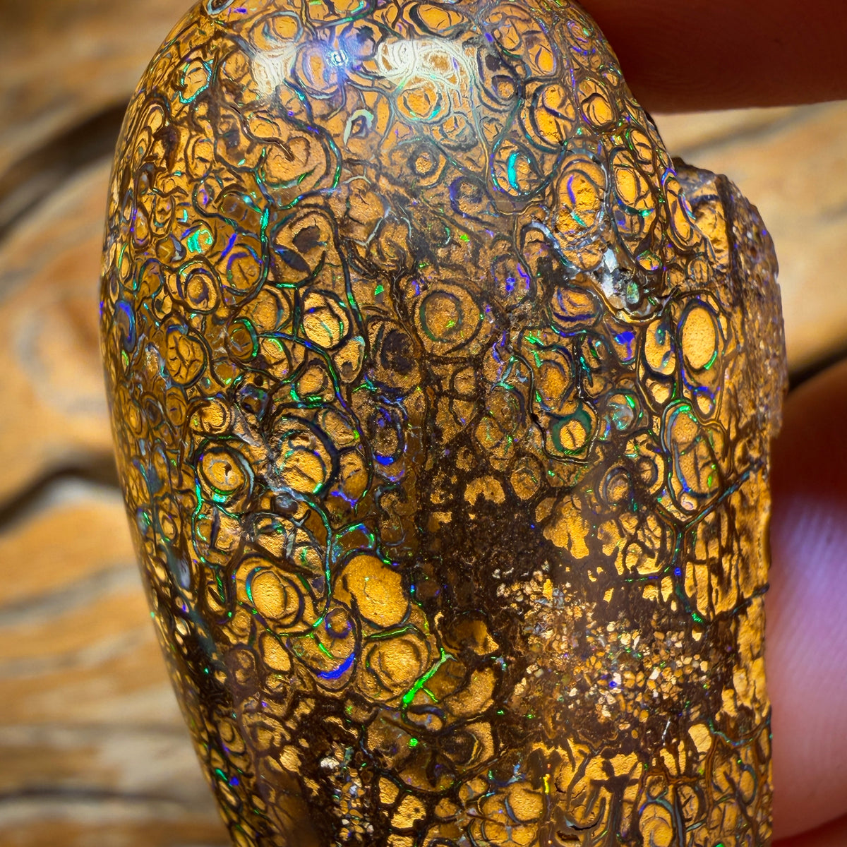 218.7cts - large Tribal Australian Boulder Opal Polished Specimen