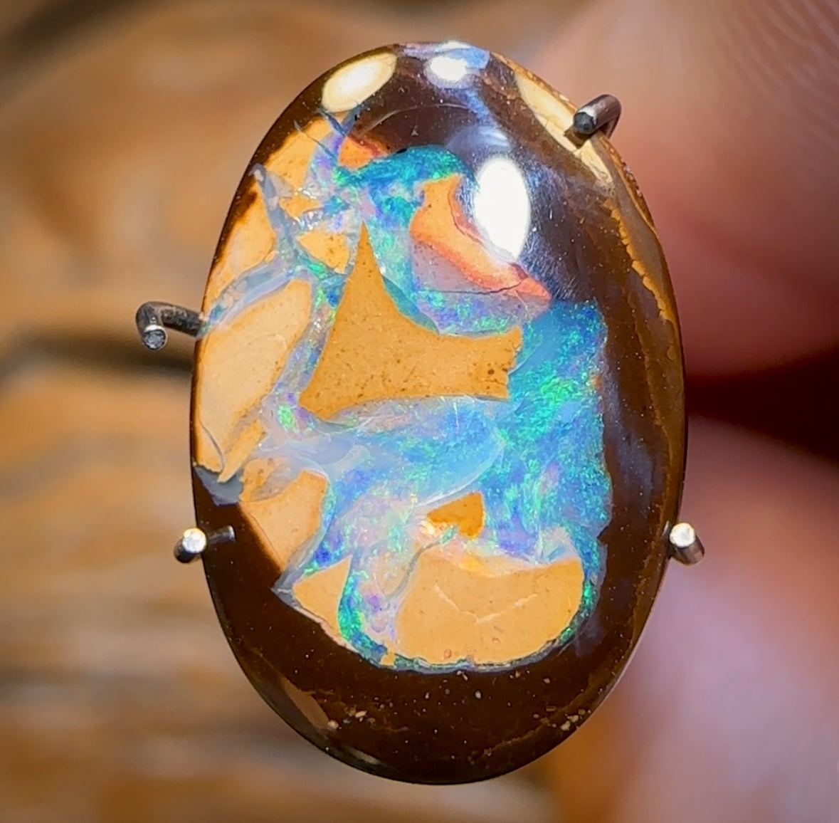 4.5cts - Yowah Nut Partial Crystal Centre Opal