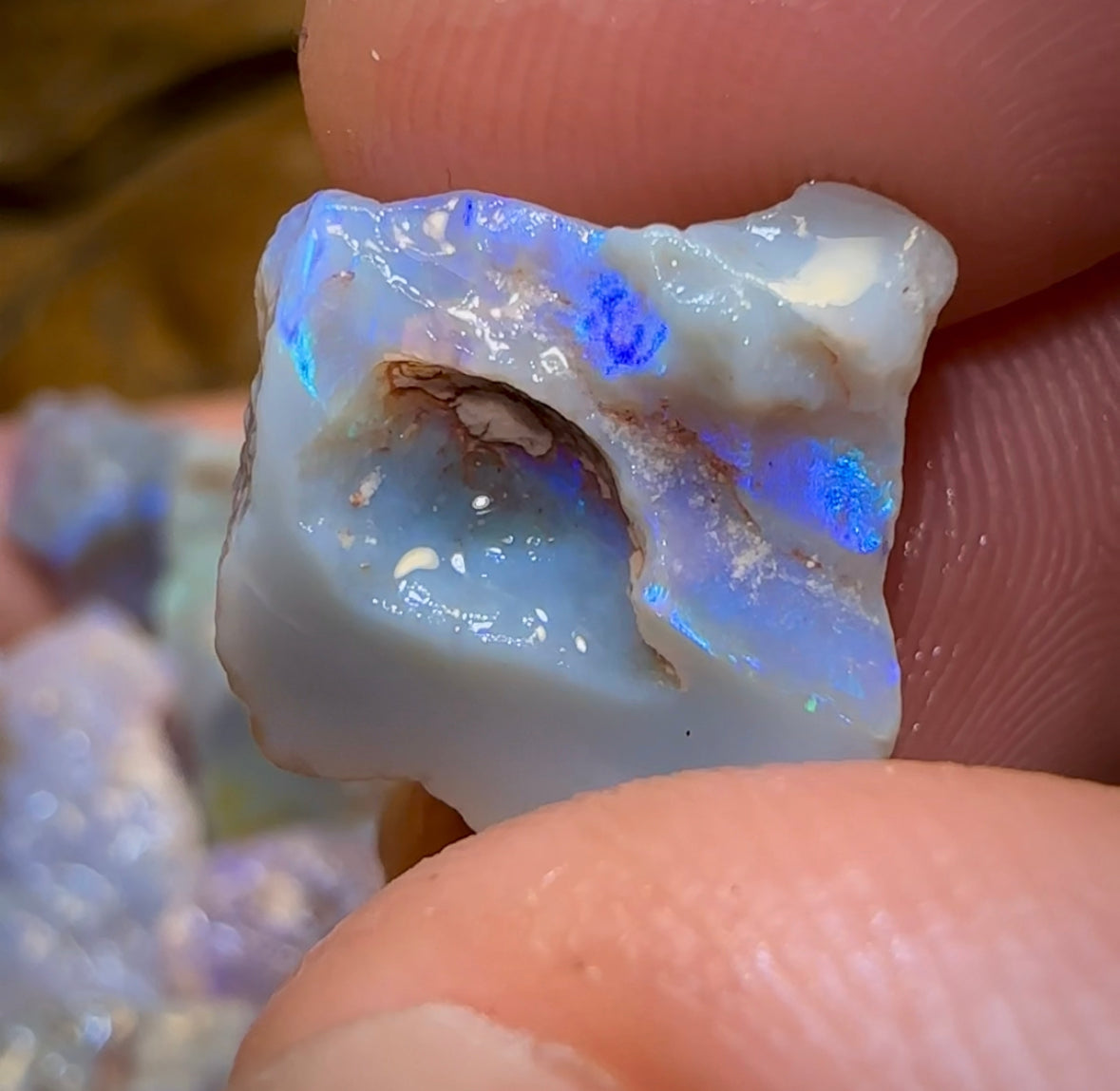 109cts - 10x Lightning Ridge Crystal and Dark Opal Rough Parcel - Opal Whisperers