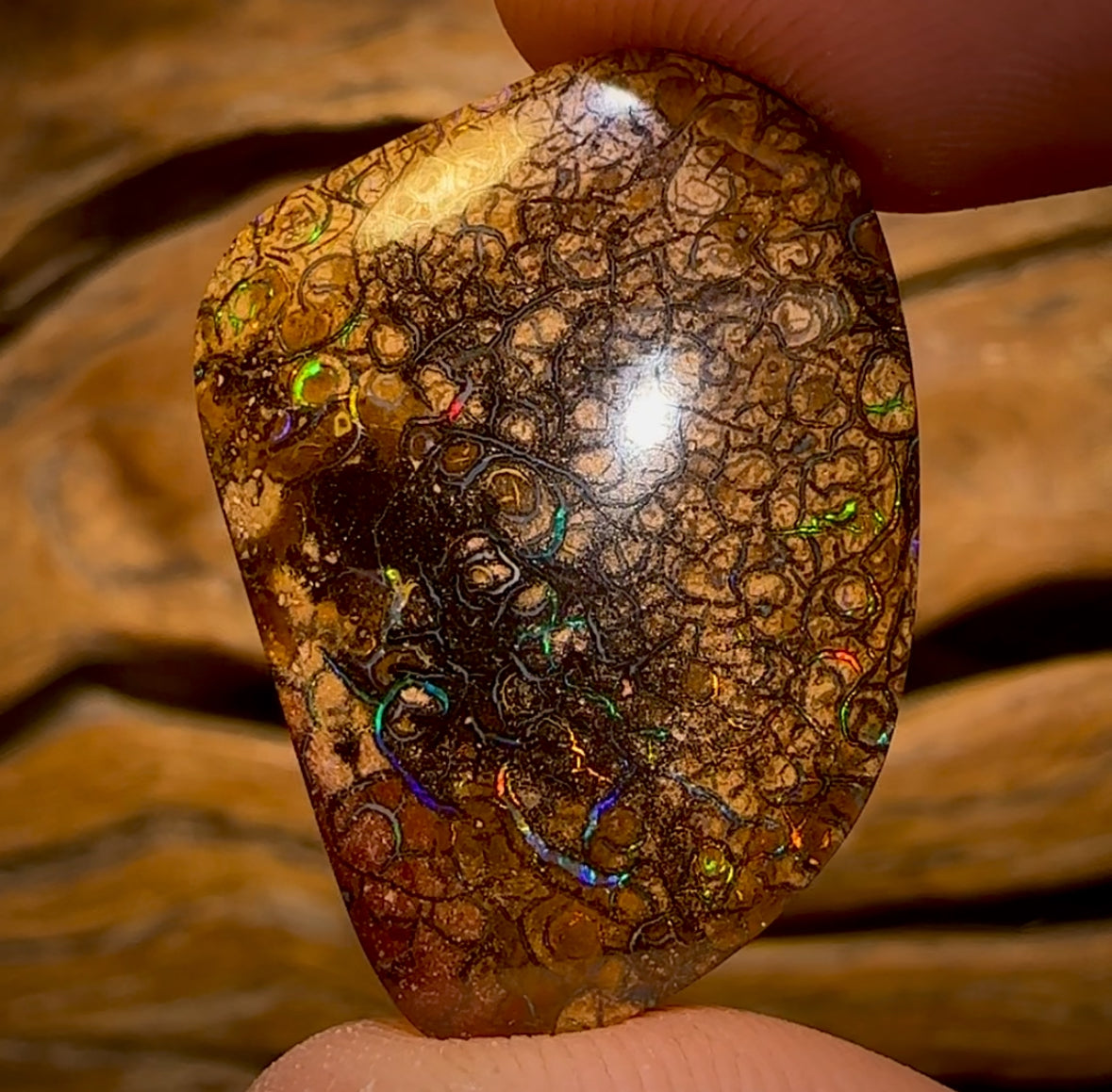 35.3cts - Tribal Queensland Boulder Opal from Yowah