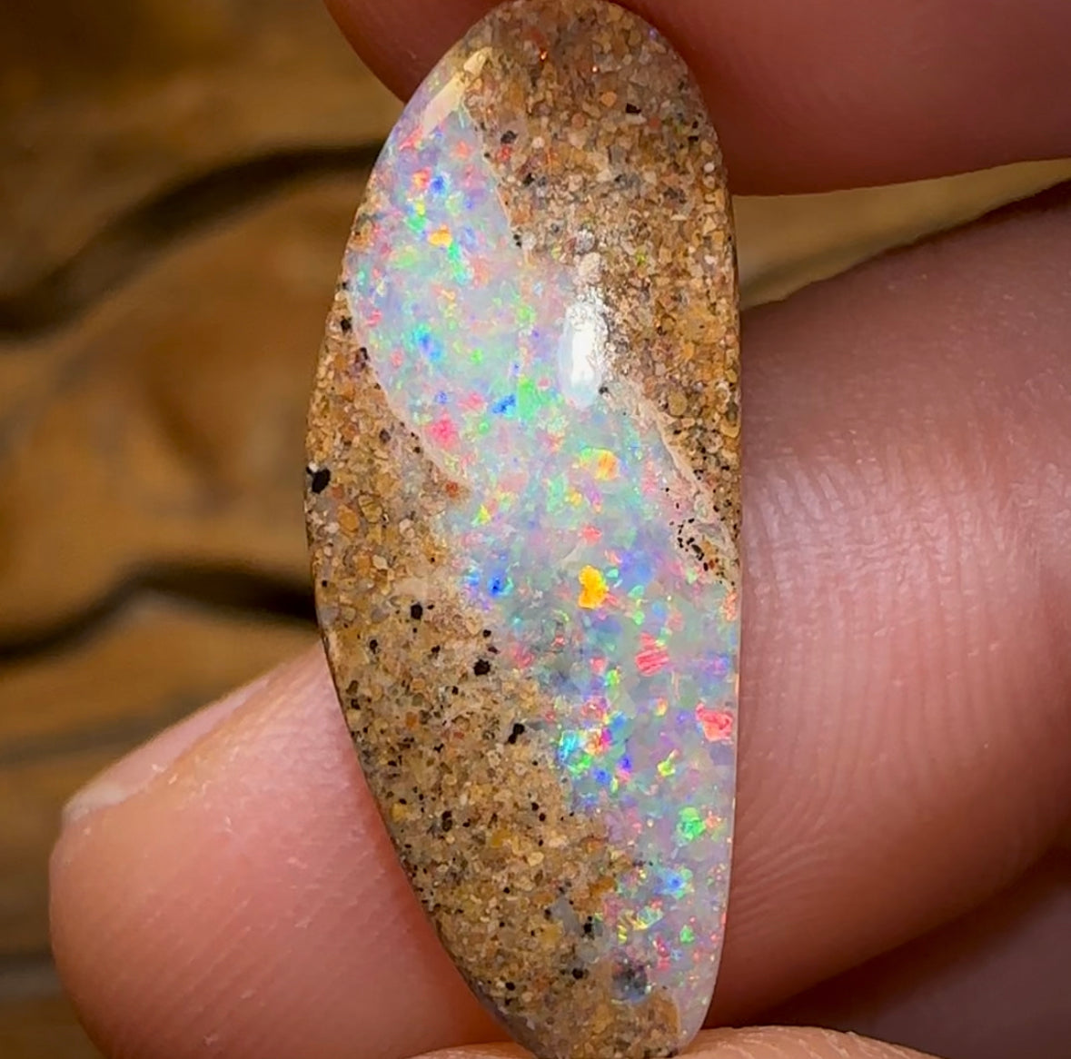 6.5cts - Solid Australian Boulder Pipe Opal Red/ Multi - Opal Whisperers