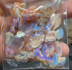 100cts - Lightning Ridge, Fossil Opal Cutting Rough Specimen - Opalwhisperers