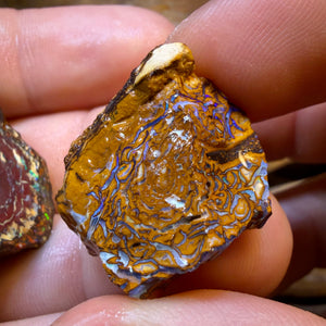 TGIF 158.9cts - 3x Yowah Nut Opal Rough Parcel. Australian Boulder Opal