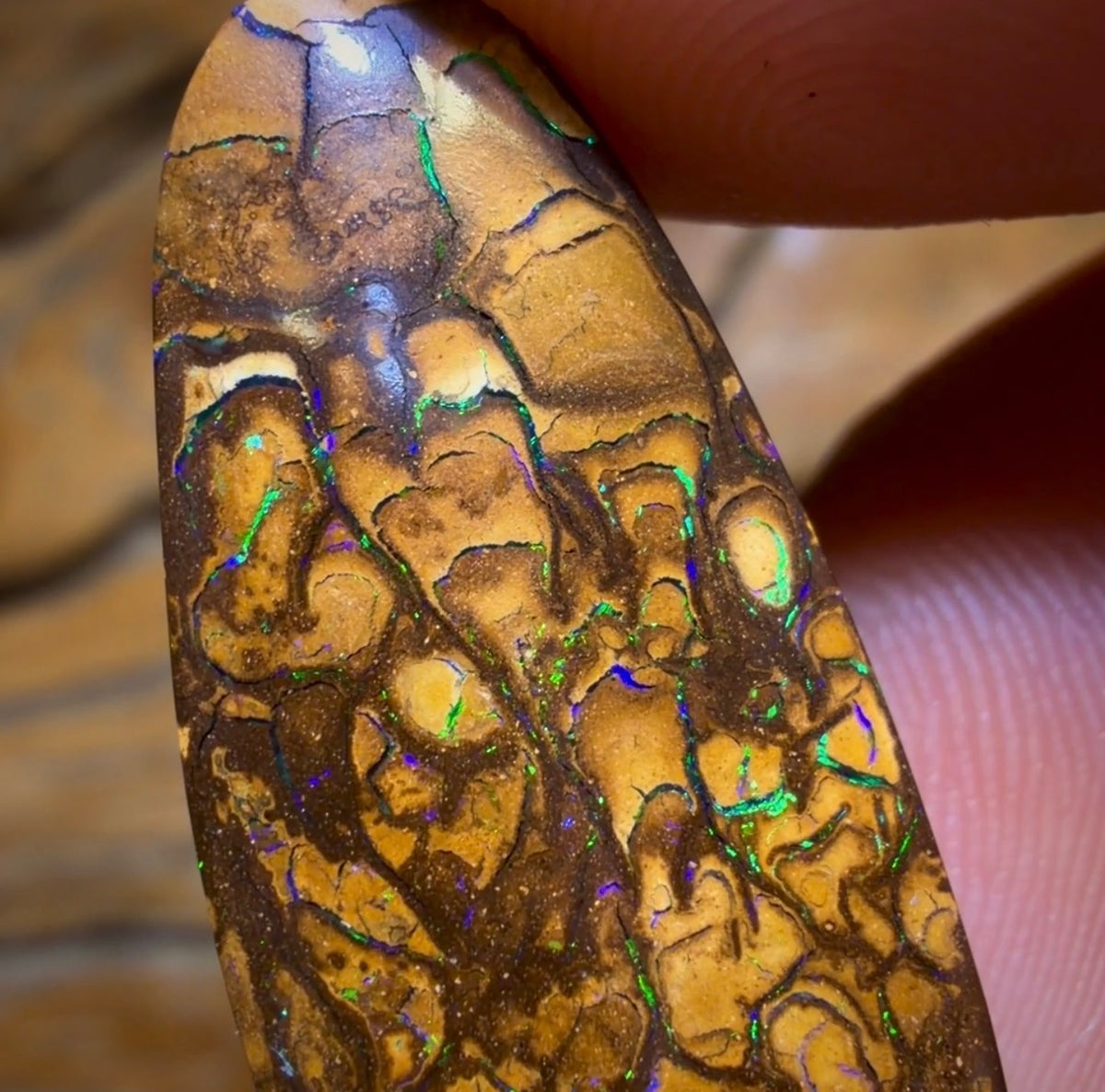 24.9cts - Tan Tribal Yowah Nut Opal. Australian Opal