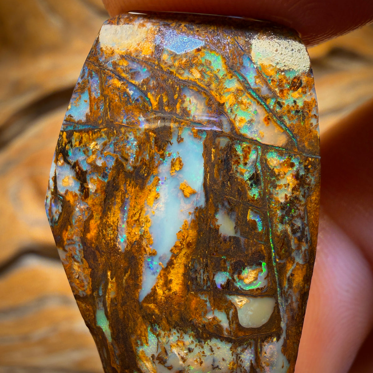44.1cts - Vegetation Fossil Replacement Boulder Opal Rub