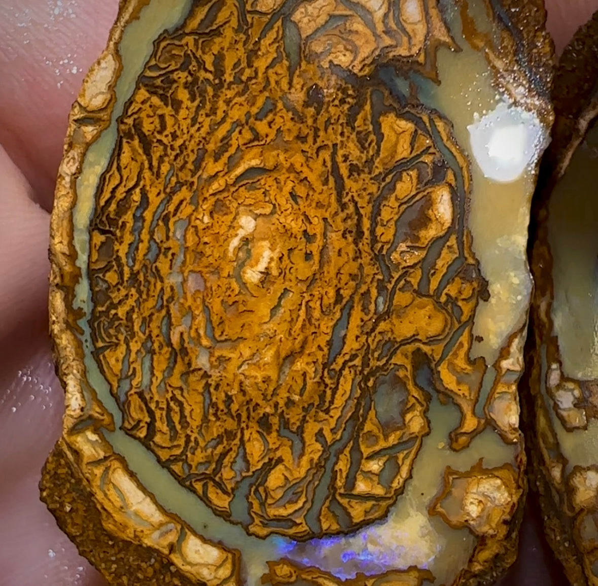 136.3cts - Yowah Nut Rough Specimen Pair. Australian Boulder Opal - Opal Whisperers