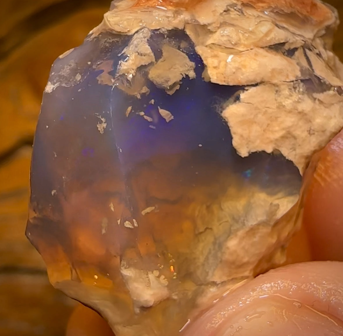 71.5cts - Rare Opalised Geological Specimen from Lightning Ridge