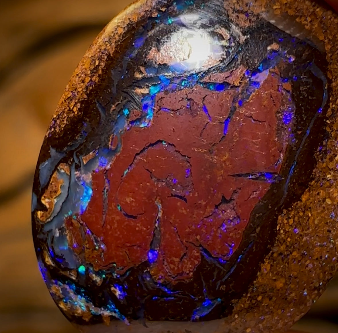 6.8cts - Yowah Nut Conglomerate Opal