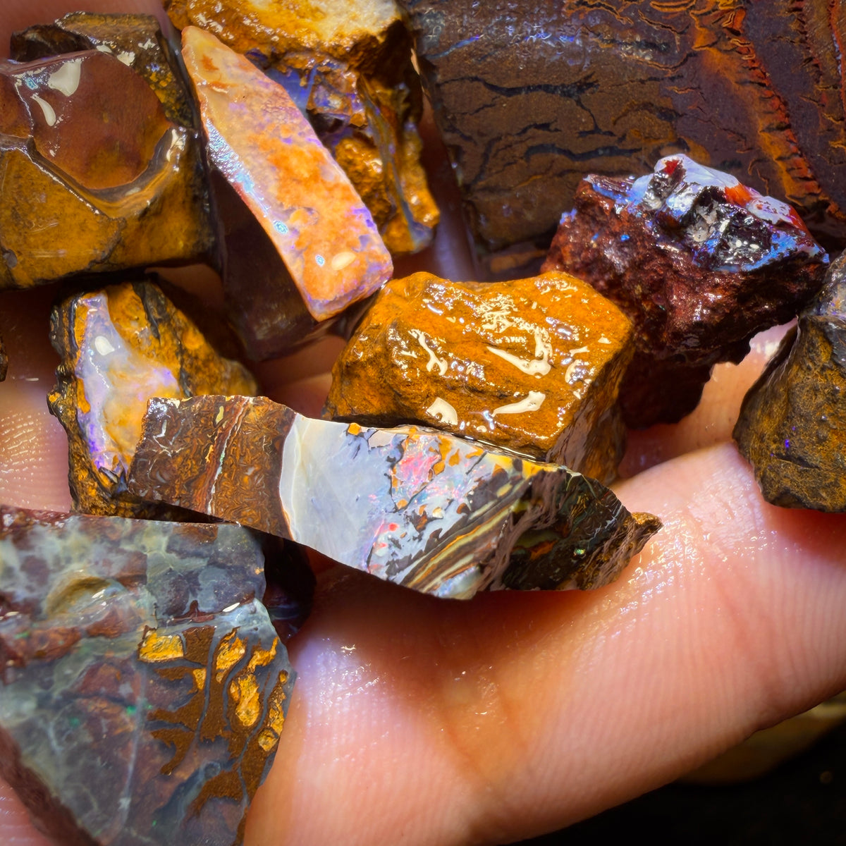 302.1cts - 13x Yowah Nut Rough Opal Parcel. Australian Boulder Opal