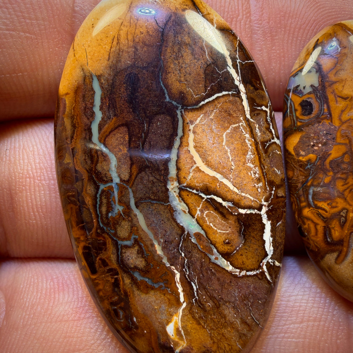 LATECARD! 64.8cts - “ One Was Big One Was Little” Tribal Queensland Boulder Opal Pair