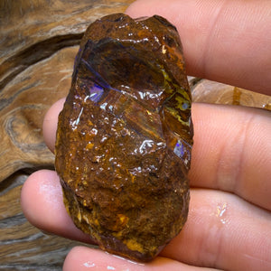 HDW 139.8cts - Opalised Fossil Replacement Boulder Opal Rough Piece
