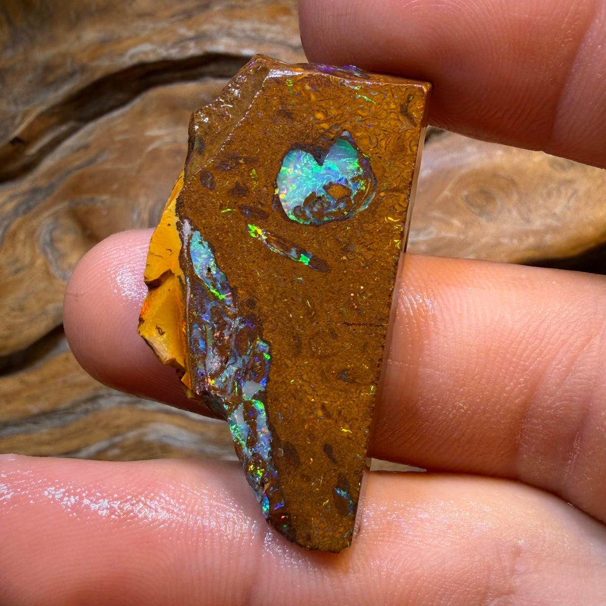 HDW 48.8cts - Yowah Nut Opal Rub. Metallic Colours!