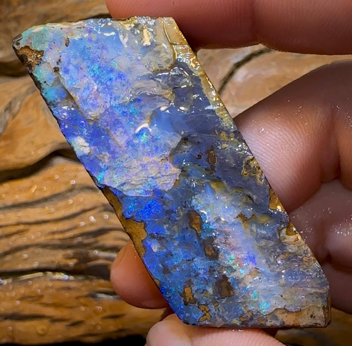 247.5cts - Australian Boulder Opal Rough Preform. Natural Split - Opal Whisperers