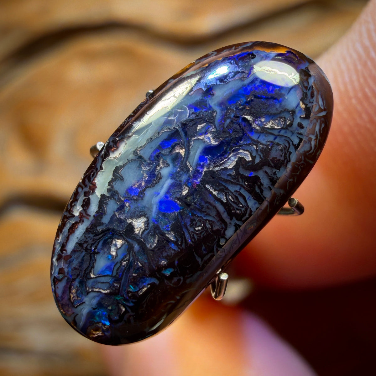 6.1cts - Tribal Yowah Nut Opal. Australian Opal