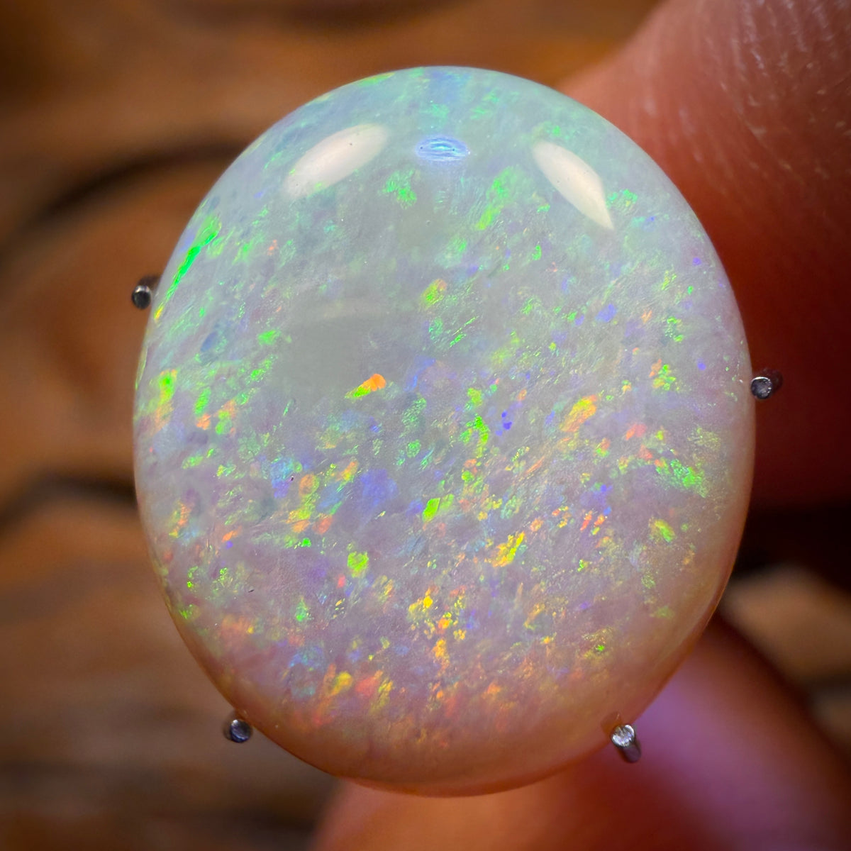 6.4cts - Solid Australian Boulder Crystal Opal from Yowah
