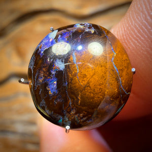 6.7cts - Queensland Boulder Opal from Yowah