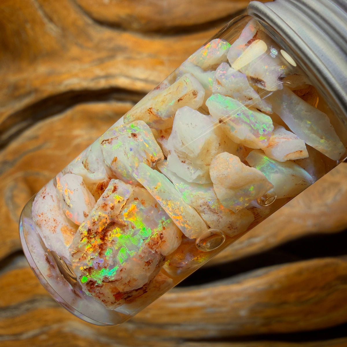 60.5cts - Vial of Shell Fossil Opal from South Australia