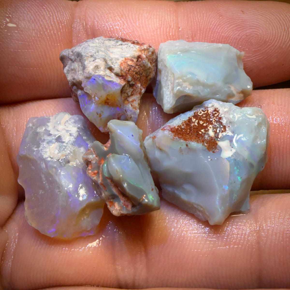 60.7cts - 5x Lightning Ridge Opal Rough Parcel