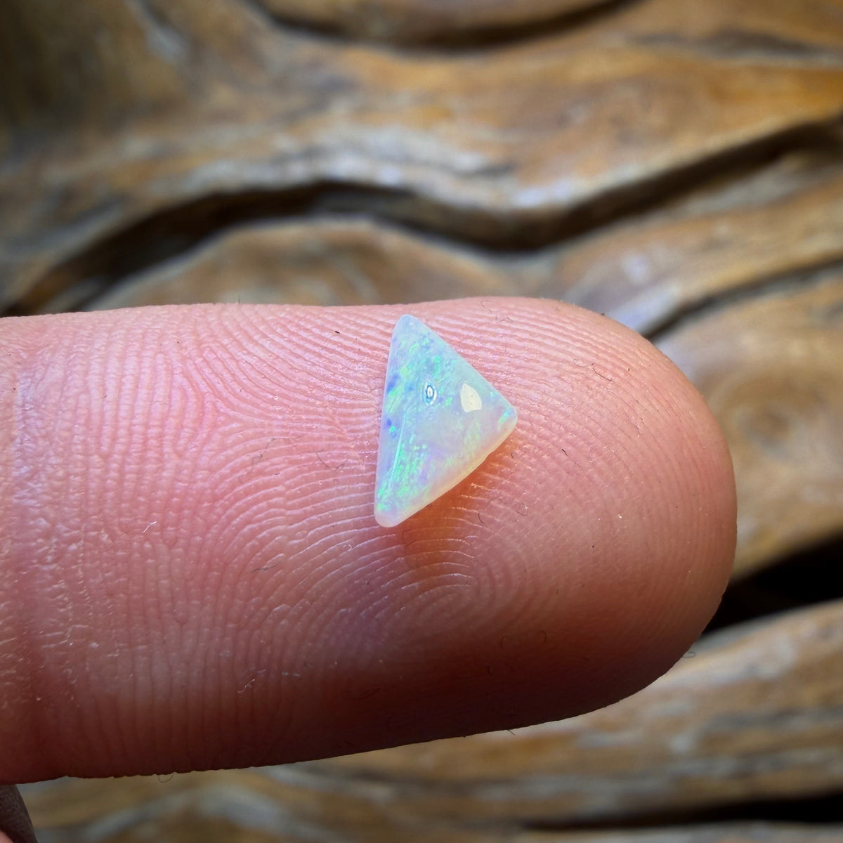 📣 OPALFEST 🔨 AUCTION 🔨 No Reserve 0.2cts - South Australian Crystal Opal